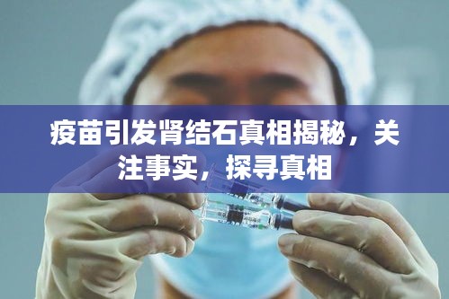 疫苗引发肾结石真相揭秘，关注事实，探寻真相