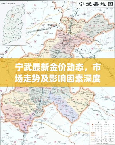 宁武最新金价动态，市场走势及影响因素深度解析