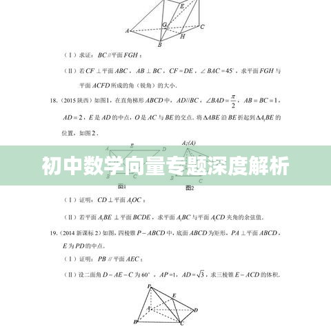 初中数学向量专题深度解析