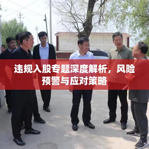 违规入股专题深度解析，风险预警与应对策略