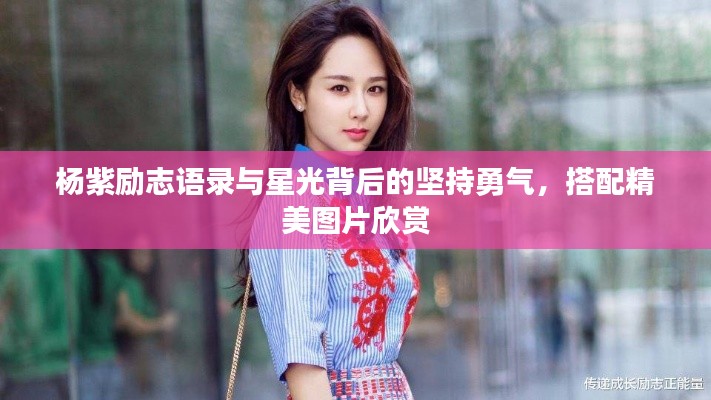 杨紫励志语录与星光背后的坚持勇气，搭配精美图片欣赏