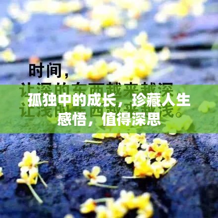 孤独中的成长，珍藏人生感悟，值得深思