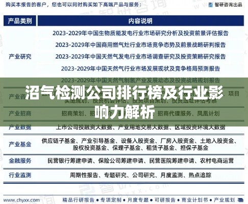 沼气检测公司排行榜及行业影响力解析