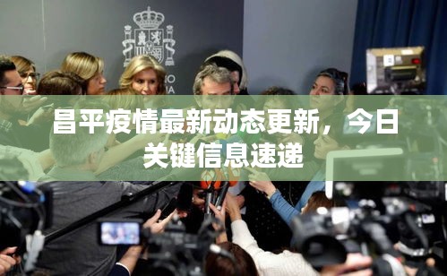 昌平疫情最新动态更新，今日关键信息速递