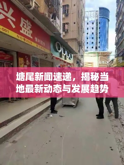 塘尾新闻速递，揭秘当地最新动态与发展趋势