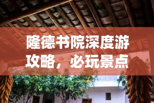 隆德书院深度游攻略，必玩景点、美食、住宿一网打尽！