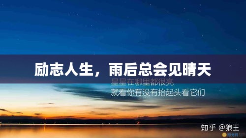 2025年4月 第3页