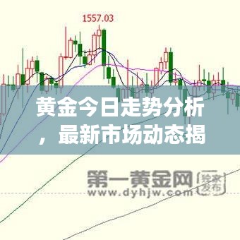 黄金今日走势分析，最新市场动态揭示金价再度攀升？