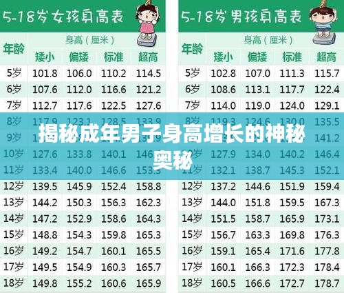 揭秘成年男子身高增长的神秘奥秘