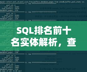 2025年5月5日 第3页