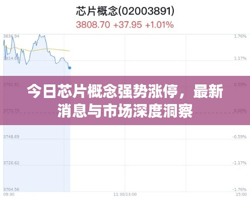 今日芯片概念强势涨停，最新消息与市场深度洞察