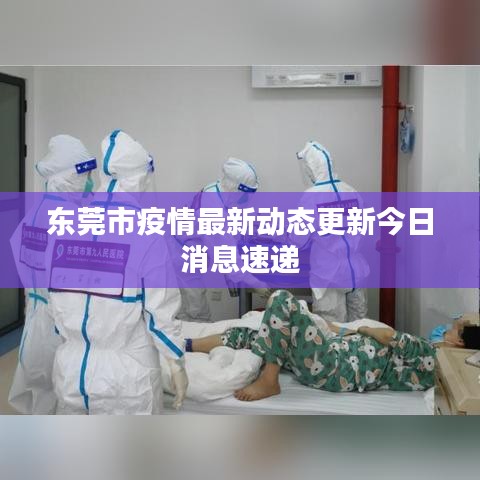 东莞市疫情最新动态更新今日消息速递