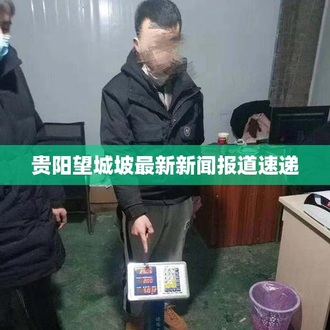 贵阳望城坡最新新闻报道速递