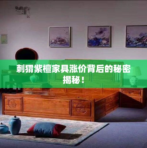 刺猬紫檀家具涨价背后的秘密揭秘！