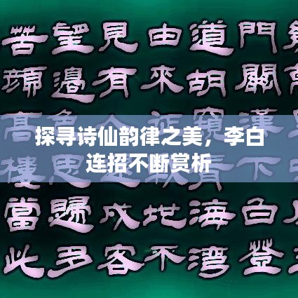 探寻诗仙韵律之美，李白连招不断赏析