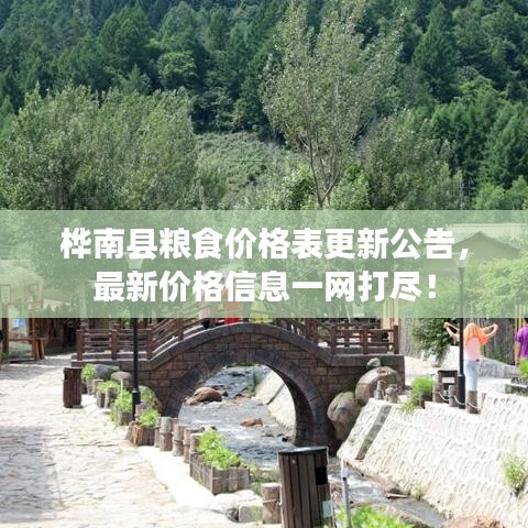 桦南县粮食价格表更新公告，最新价格信息一网打尽！