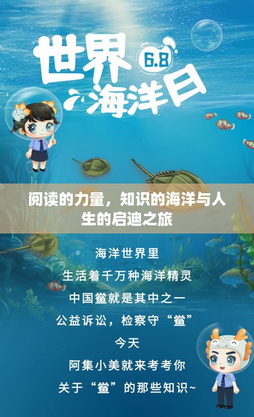阅读的力量，知识的海洋与人生的启迪之旅
