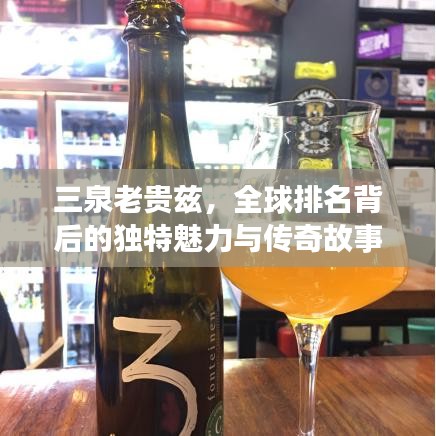 三泉老贵兹，全球排名背后的独特魅力与传奇故事