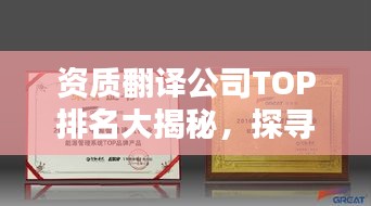 资质翻译公司TOP排名大揭秘，探寻行业领军者