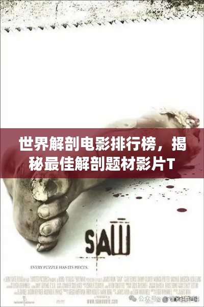 世界解剖电影排行榜，揭秘最佳解剖题材影片TOP榜单