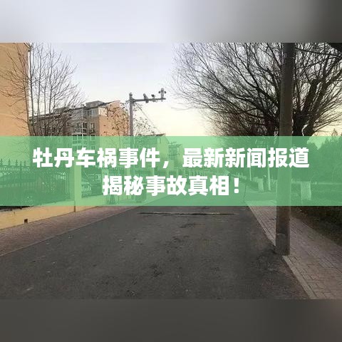 牡丹车祸事件，最新新闻报道揭秘事故真相！