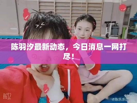 陈羽汐最新动态，今日消息一网打尽！
