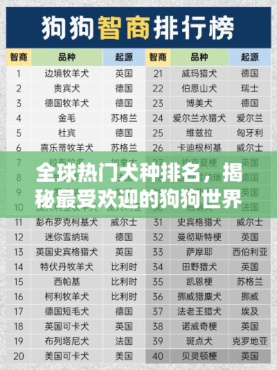 全球热门犬种排名，揭秘最受欢迎的狗狗世界