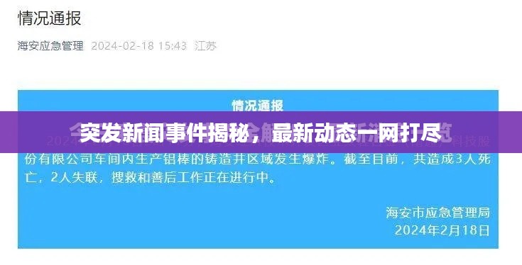 突发新闻事件揭秘，最新动态一网打尽