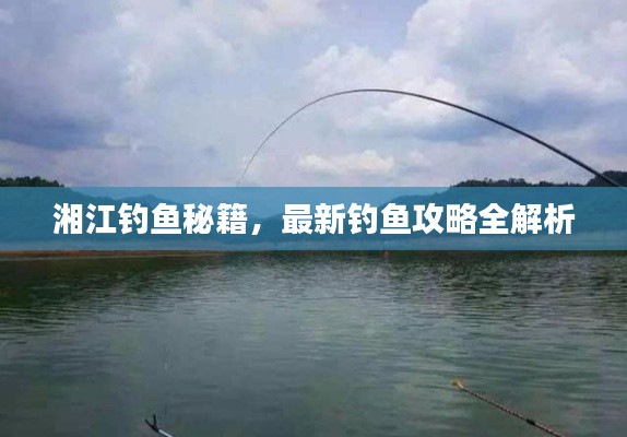 湘江钓鱼秘籍，最新钓鱼攻略全解析