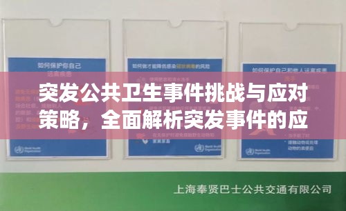 突发公共卫生事件挑战与应对策略，全面解析突发事件的应对策略