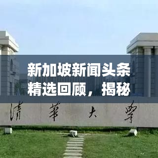 新加坡新闻头条精选回顾，揭秘2019年重大事件概览