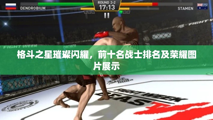 格斗之星璀璨闪耀，前十名战士排名及荣耀图片展示