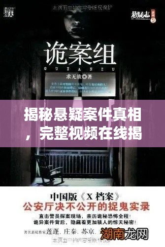 揭秘悬疑案件真相，完整视频在线揭秘！