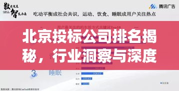 北京投标公司排名揭秘，行业洞察与深度分析