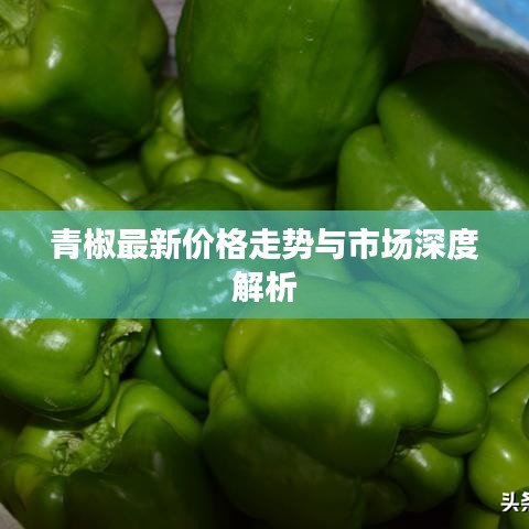 青椒最新价格走势与市场深度解析