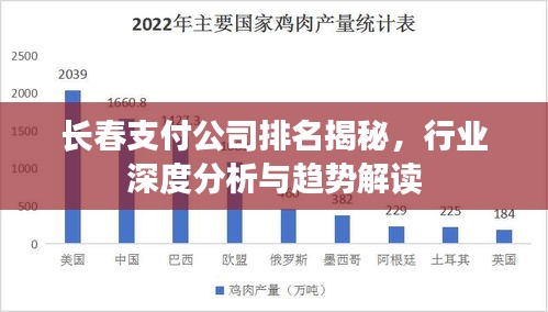 长春支付公司排名揭秘，行业深度分析与趋势解读
