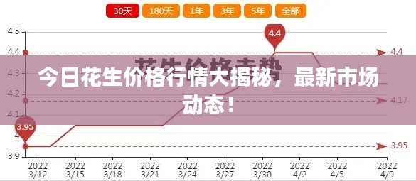 今日花生价格行情大揭秘，最新市场动态！