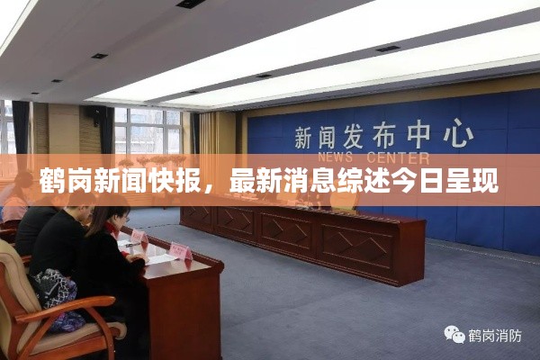 鹤岗新闻快报，最新消息综述今日呈现