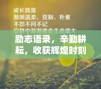励志语录，辛勤耕耘，收获辉煌时刻！