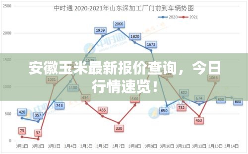 安徽玉米最新报价查询，今日行情速览！