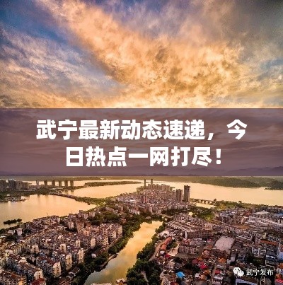 武宁最新动态速递，今日热点一网打尽！