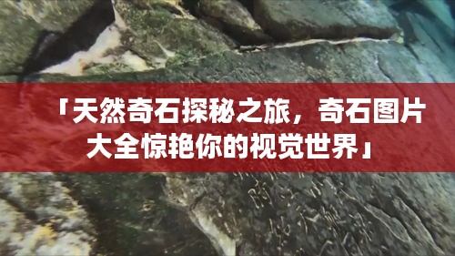 「天然奇石探秘之旅，奇石图片大全惊艳你的视觉世界」