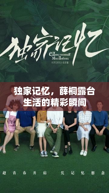 独家记忆，薛桐露台生活的精彩瞬间