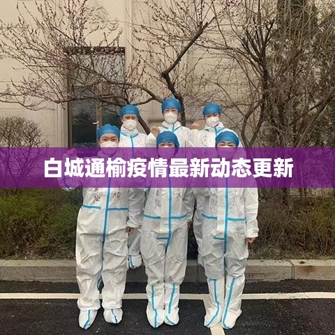 白城通榆疫情最新动态更新