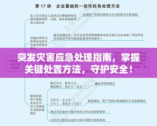突发灾害应急处理指南，掌握关键处置方法，守护安全！