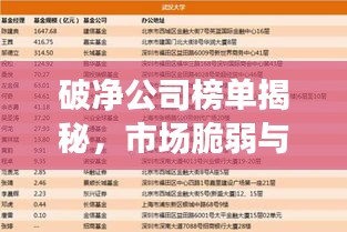 破净公司榜单揭秘，市场脆弱与机遇并存