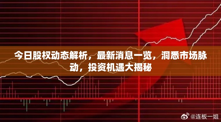 今日股权动态解析，最新消息一览，洞悉市场脉动，投资机遇大揭秘