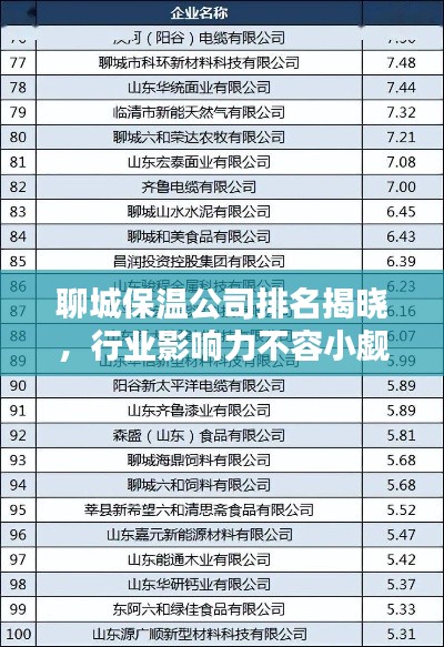 聊城保温公司排名揭晓，行业影响力不容小觑