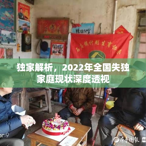 独家解析，2022年全国失独家庭现状深度透视