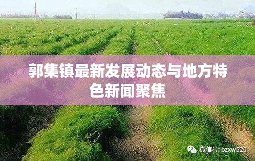 郭集镇最新发展动态与地方特色新闻聚焦